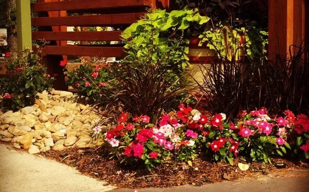 seasonal color landscaping benefits in pinehurst nc