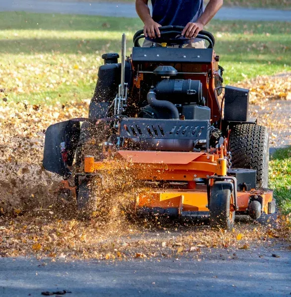 seasonal yard cleanup process in pinehurst nc