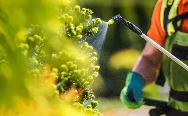 shrub fertilization service and tree care pinehurst nc