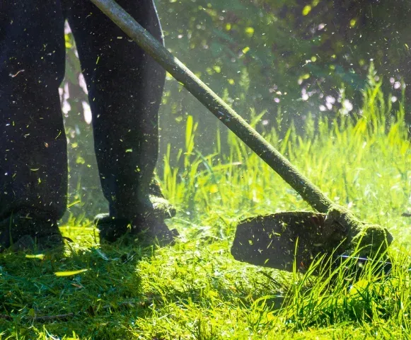 signs you need lawn mowing service pinehurst nc