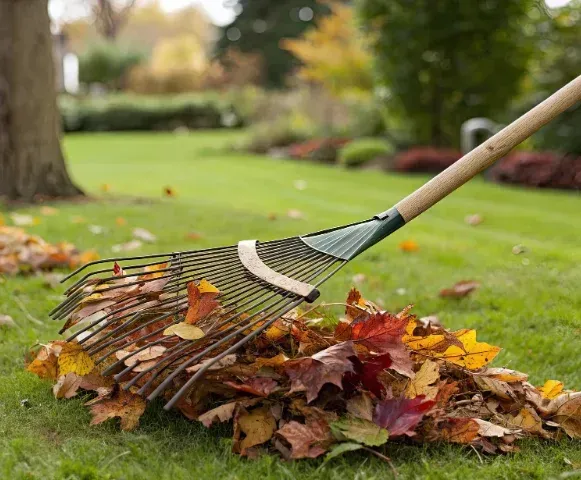 signs you need seasonal yard cleanup in pinehurst nc