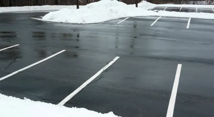 snow removal and relocation southern pines