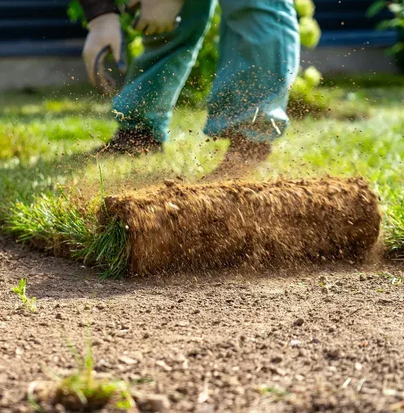 sod installation process in pinehurst nc
