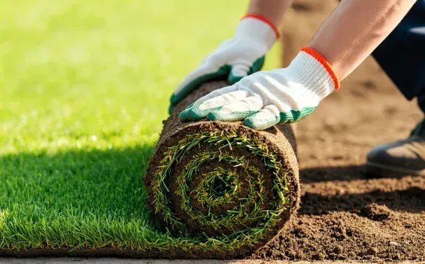 sod installation solutions in pinehurst nc