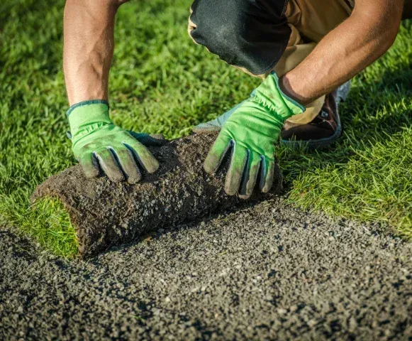 sod installers in pinehurst nc