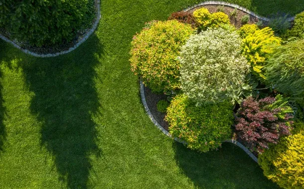 tree and shrub fertilization benefits pinehurst nc
