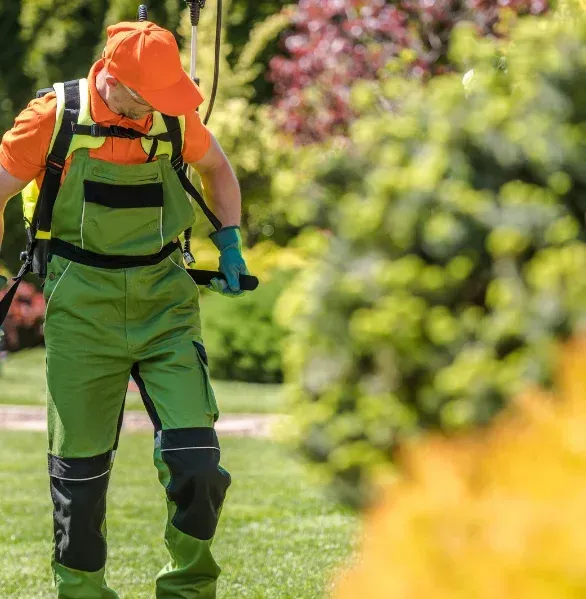 tree and shrub fertilization process in pinehurst nc