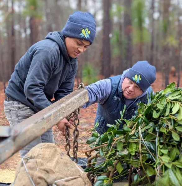 tree transplanting in pinehurst nc
