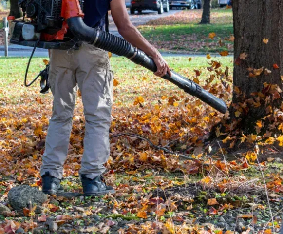 trusted yard cleanup contractors in pinehurst nc