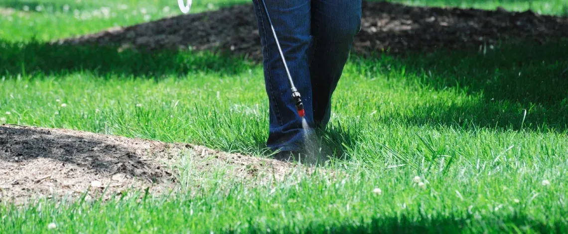 weed control in pinehurst and southern pines