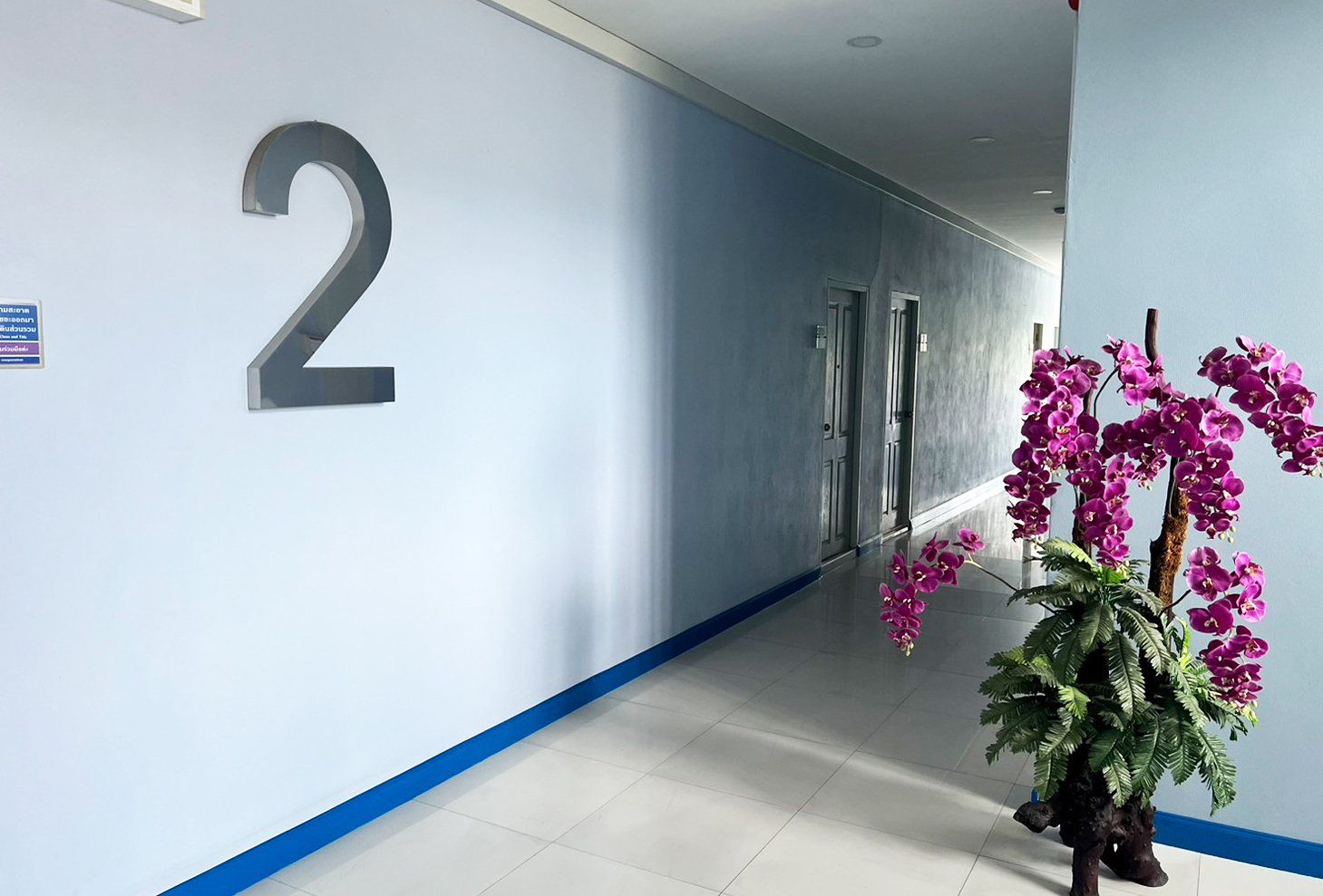The Second Floor's area