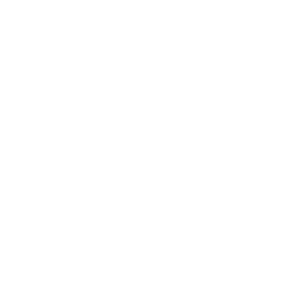 WillPlumb Logo