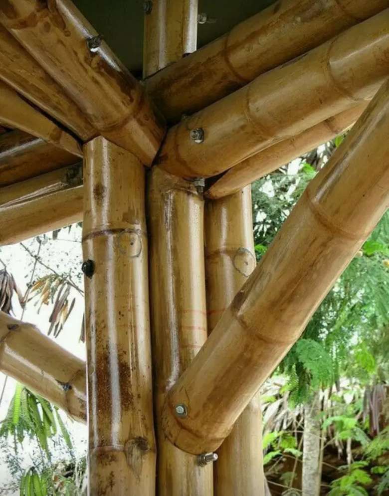 Maderas y Aserríos Nariño, Venta de Guadua para Construcción en Medellín. Guadua en todas las dimensiones en Bello.