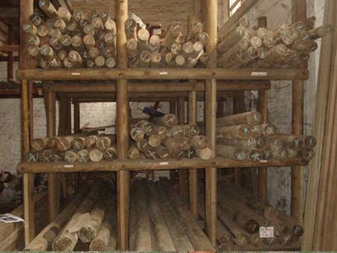 Maderas y Aserríos Nariño, Procesos de producción responsables y amigables con el medio ambiente.