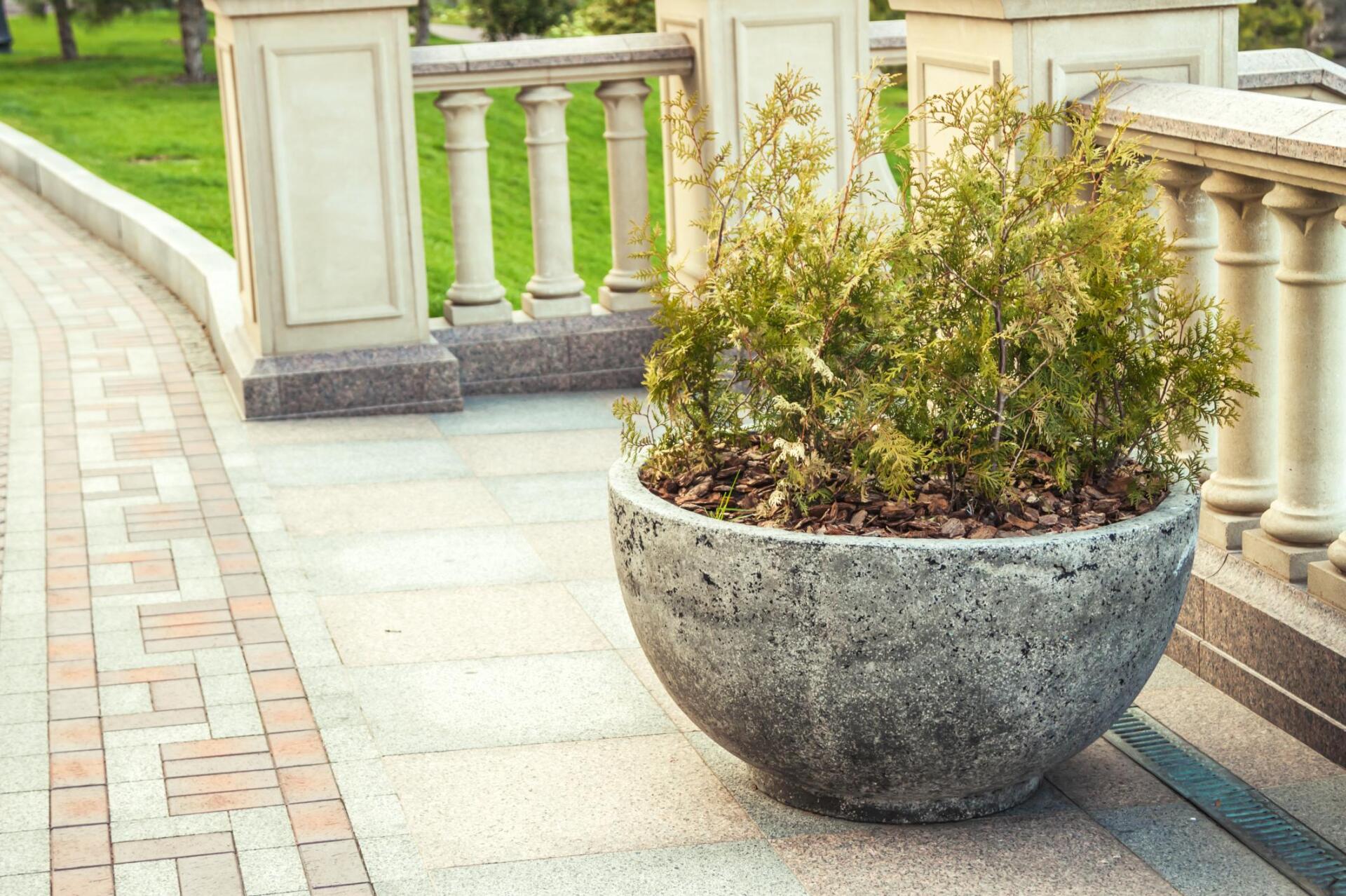 plant pot outside the house