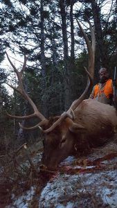 Rifle Elk Hunting