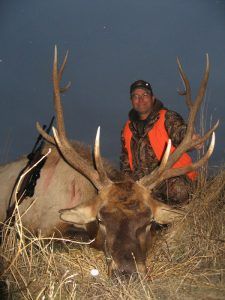 Rifle Elk Hunting