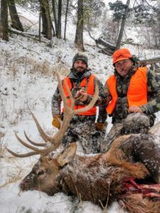 Rifle Elk Hunting