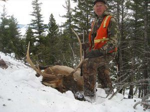 Rifle Elk Hunting