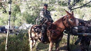 Lone Wolf Guide Service Hunt