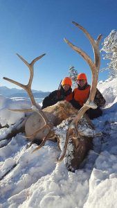 Rifle Elk Hunting