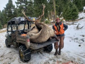 Rifle Elk Hunting