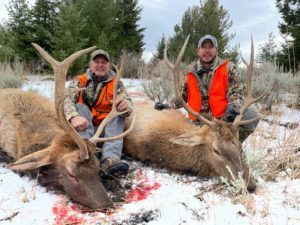 Rifle Elk Hunting
