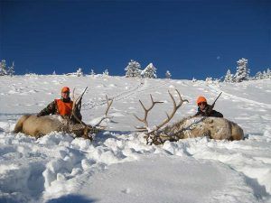 Rifle Elk Hunting