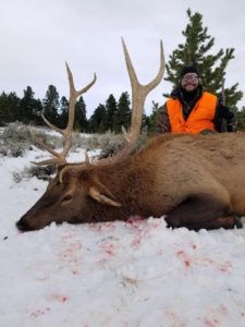 Rifle Elk Hunting