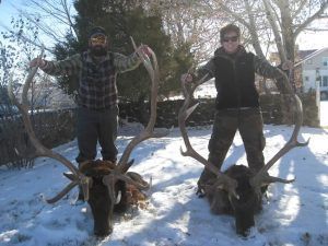 Lone Wolf Guide Service Hunt