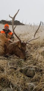 Rifle Elk Hunting