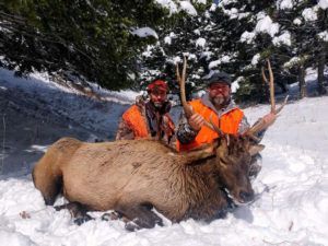 Rifle Elk Hunting