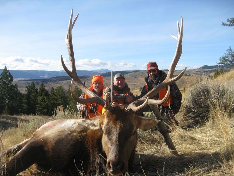 Rifle Elk Hunting