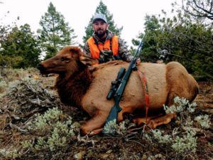 Rifle Elk Hunting