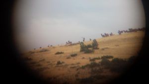 Lone Wolf Guide Service Hunt