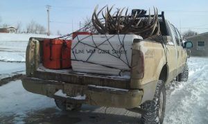 Lone Wolf Guide Service Hunt