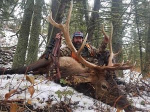 Rifle Elk Hunting