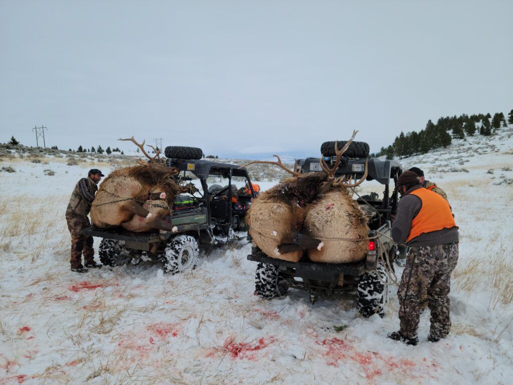 Lone Wolf Guide Service Hunt