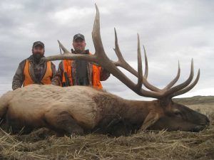Rifle Elk Hunting