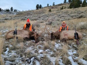Rifle Elk Hunting