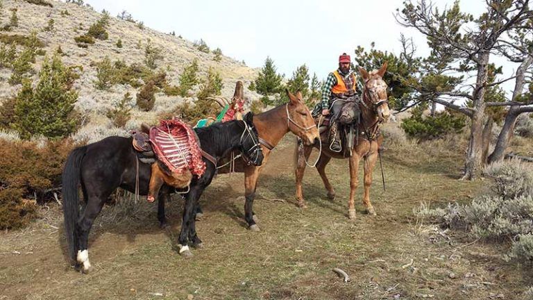 Lone Wolf Guide Service Hunt