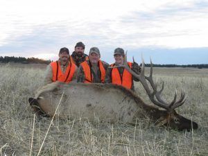 Rifle Elk Hunting