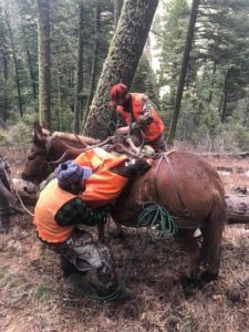 Lone Wolf Guide Service Hunt