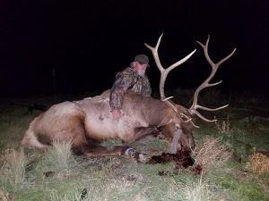 Rifle Elk Hunting