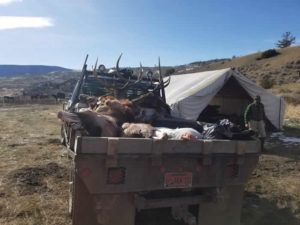 Lone Wolf Guide Service Hunt