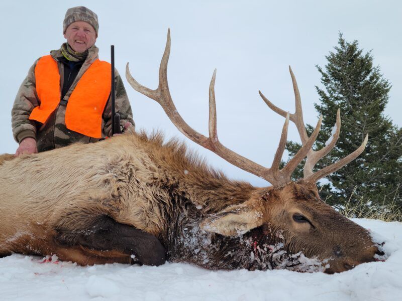 Lone Wolf Guide Service Hunt