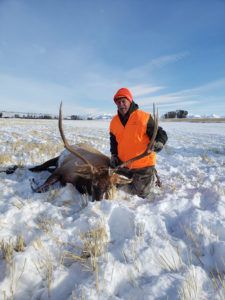 Rifle Elk Hunting