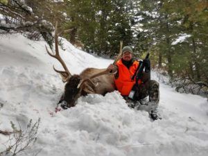 Rifle Elk Hunting