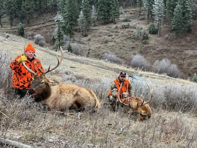 Rifle Elk Hunting