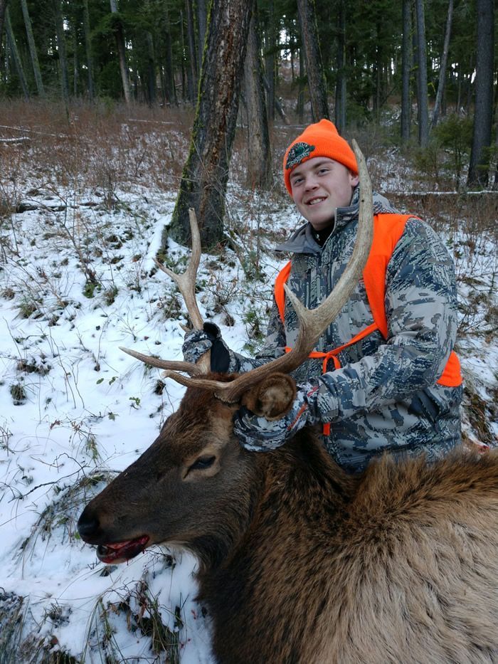 Rifle Elk Hunting